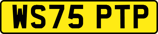 WS75PTP
