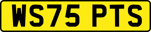 WS75PTS