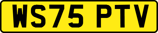 WS75PTV