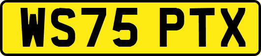 WS75PTX