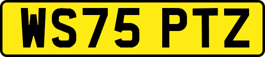WS75PTZ
