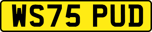WS75PUD