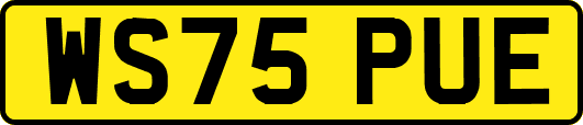 WS75PUE
