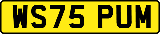 WS75PUM
