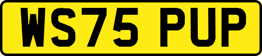 WS75PUP