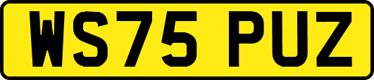 WS75PUZ