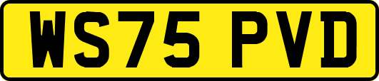 WS75PVD