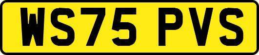 WS75PVS