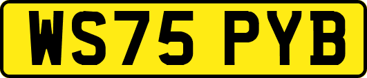 WS75PYB