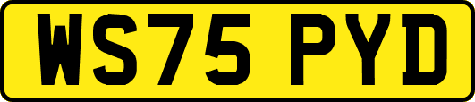 WS75PYD