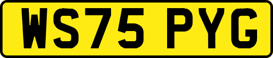 WS75PYG