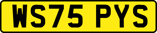 WS75PYS