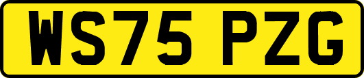 WS75PZG