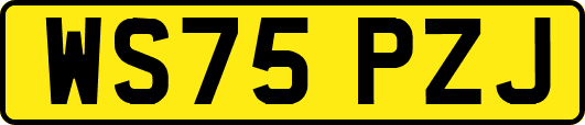 WS75PZJ
