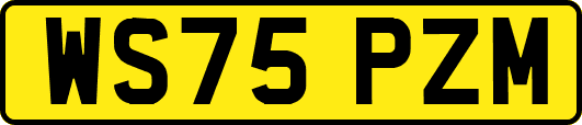 WS75PZM