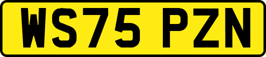 WS75PZN
