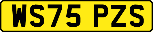 WS75PZS