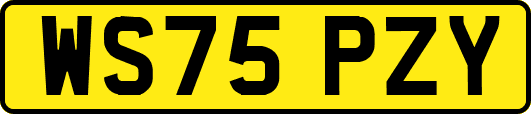 WS75PZY