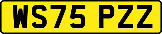 WS75PZZ