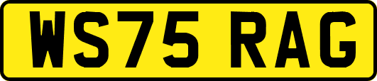 WS75RAG