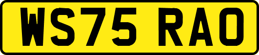 WS75RAO