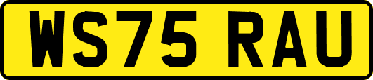 WS75RAU
