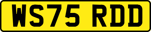 WS75RDD