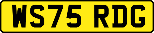WS75RDG