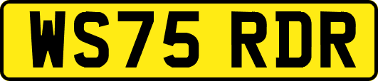 WS75RDR