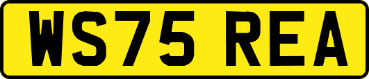 WS75REA