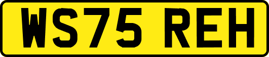 WS75REH