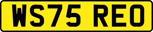 WS75REO