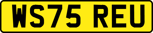 WS75REU