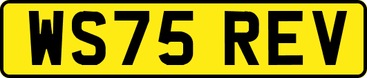 WS75REV