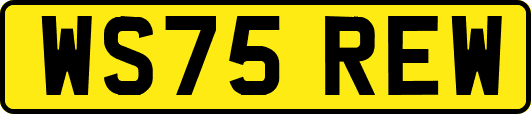 WS75REW