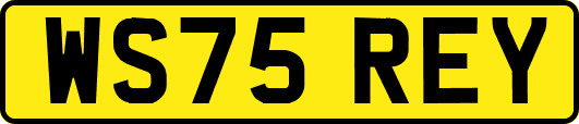 WS75REY