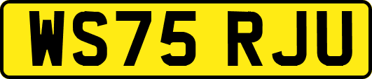 WS75RJU