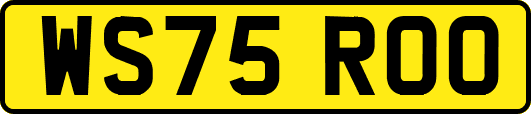WS75ROO