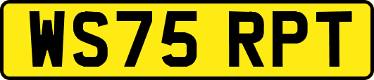 WS75RPT