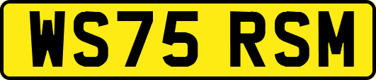 WS75RSM