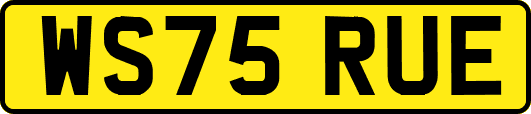 WS75RUE