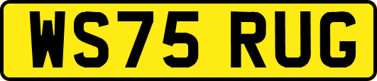 WS75RUG