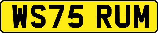 WS75RUM