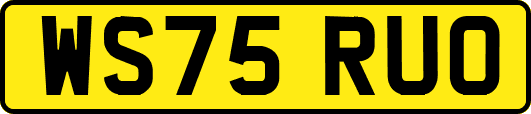 WS75RUO