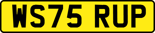 WS75RUP