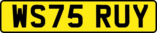 WS75RUY