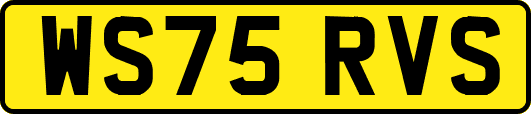 WS75RVS