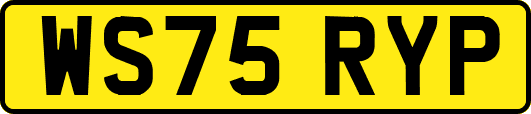 WS75RYP