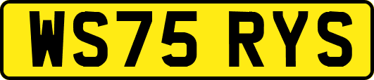 WS75RYS