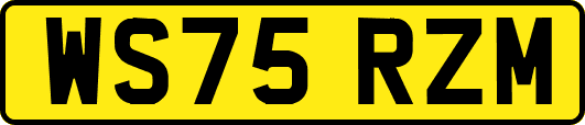 WS75RZM
